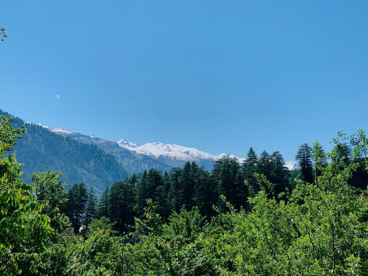 Jungle By Sturmfrei Manali Hostel Luaran gambar